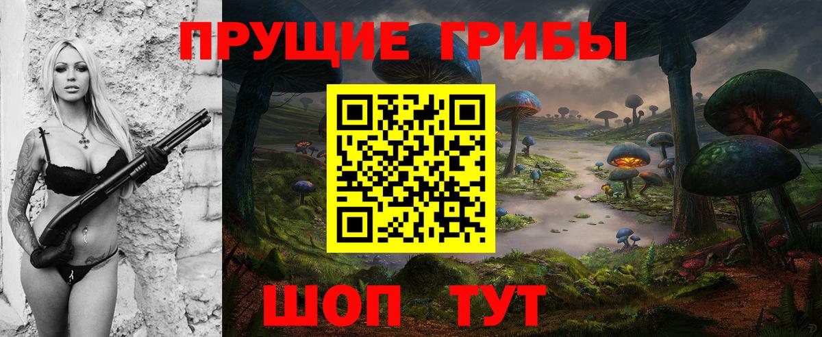 Кропоткин  Псилоцибиновые грибы ЛСД  Вход с VPN 